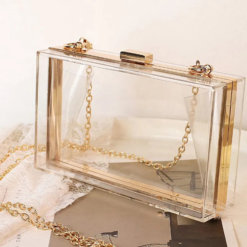 Clear lucite clutch 2025